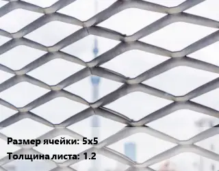 Сетка ЦПВС 5х5 s=1.2